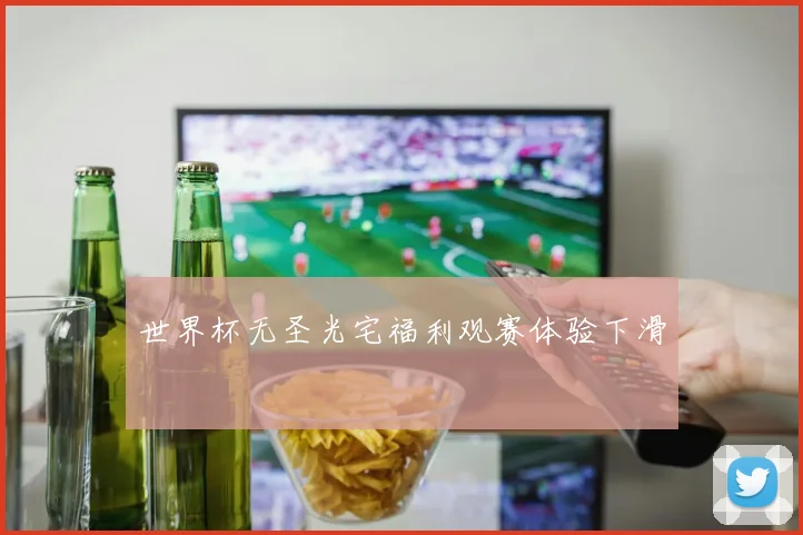 世界杯无圣光宅福利观赛体验下滑
