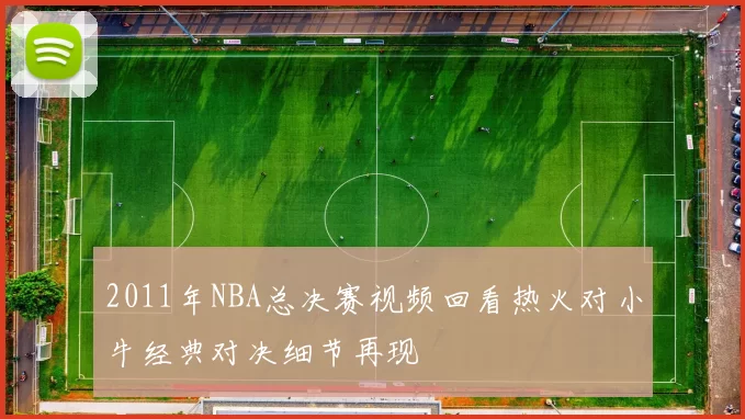 2011年NBA总决赛视频回看热火对小牛经典对决细节再现
